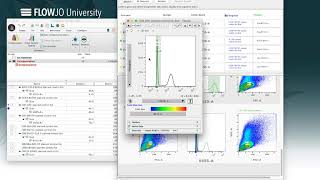 Traditional Compensation in FlowJo [upl. by Eskill152]
