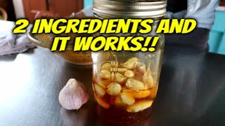 How to make Fermented Honey Garlic  Immune System Booster [upl. by Eve185]