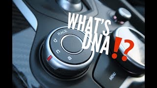 The DNA Driving Modes In The Alfa Romeo Giulia EXPLAINED [upl. by Neira686]