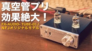 【後編】真空管アンプの世界へようこそ NFJオリジナル真空管ラインアンプ「FXAUDIO TUBE01J」を試す！ [upl. by Heiner]