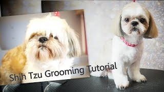 PetGroooming  Shih Tzu Grooming from start to finish 91 [upl. by Berner230]