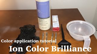 Color Application tutorial  Ion Color Brilliance for beginners [upl. by Caitlin]