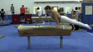 Pommel Horse  Training Combinations [upl. by Agnew33]