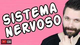 SISTEMA NERVOSO  FISIOLOGIA  Aula  Biologia com Samuel Cunha [upl. by Aleuname]