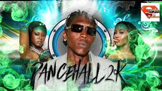 Dancehall Mix  2000s  Dancehall 2k  SuperGMovements  Kartel Bounty Killer Sizzla amp More [upl. by Fridell387]