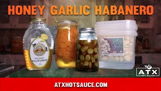 Fermented Garlic Honey and Habanero Hot Sauce [upl. by Hemminger]