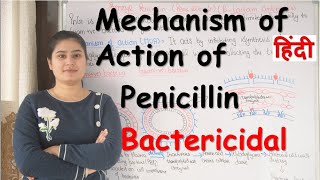 Mechanism of Action of Penicillin in Hindi  Bactericidal [upl. by Dibri819]