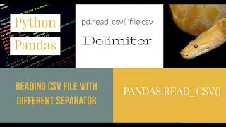 How import CVS into pandas with colontabsemicolon separator Delimiter [upl. by Abisia]