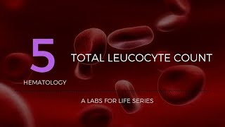 Total Leucocyte Count [upl. by Onairelav]