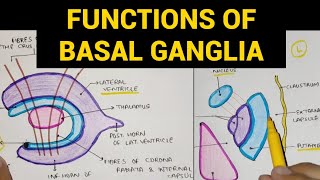 What is Basal Cell Skin Cancer  Basal Cell Cancer Explained 2019 Dermatology [upl. by Eveivaneg]