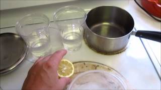 Penicillium isolation from citrus fruit  Part 1 [upl. by Enrique]