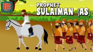 Quran Stories In English  Prophet Sulaiman AS  English Prophet Stories  Quran Cartoon [upl. by Llenna]