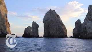 What to Do in Los Cabos Mexico  36 Hours Travel Videos  The New York Times [upl. by Aihtenak486]