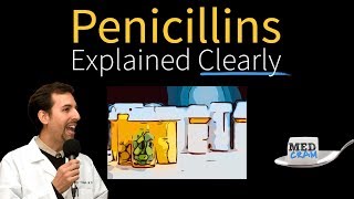 Penicillins  Antibiotics Explained Clearly [upl. by Longfellow]