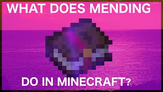 What Does Mending Do In Minecraft [upl. by Spense]