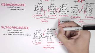 Biochemistry of Carbohydrates [upl. by Tigges]