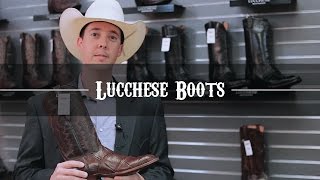 New Lucchese Boot Store [upl. by Mason]