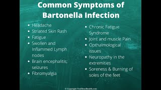 Bartonella Cat Scratch Fever Mysterious and More Common Than You Think [upl. by Bikales]