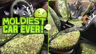 Deep Cleaning the MOLDIEST BIOHAZARD CAR EVER  Satisfying DISASTER Car Detailing Transformation [upl. by Aninay]