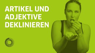 Artikel und Adjektivdeklination deklinieren auf Deutsch – Learn German with Ida  24h Deutsch 2020 [upl. by Feil]