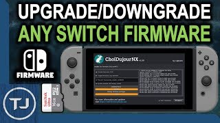 How To UpgradeDowngrade Switch Firmware Offline [upl. by Atinrahs322]