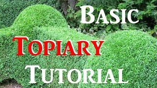 How To Do Basic Topiary  Tutorial [upl. by Airdnaid203]