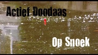 HLpredatorTEAM  Actief Doodaas Vissen Op Snoek [upl. by Annawal112]