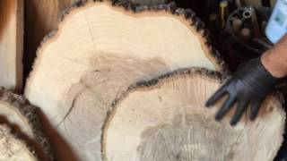 Stabilizing large tree slices with Pentacryl [upl. by Adnarb]