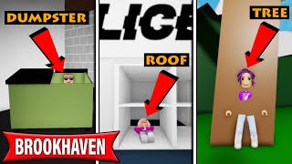 We played Hide and Seek in Brookhaven  Roblox [upl. by Anelam676]