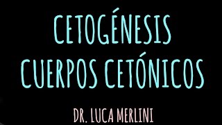 Cetogénesis Cuerpos Cetónicos [upl. by Tamar]