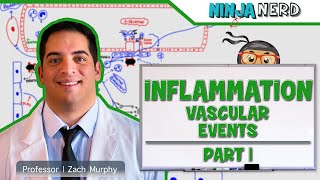 Immunology  Inflammation Vascular Events Part 1 [upl. by Reteid]