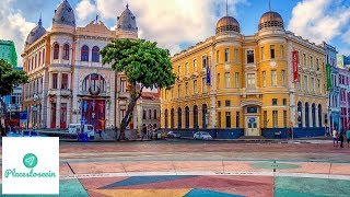 Recife Travel Guide  Brazil Exceptional Atmosphere [upl. by Ewolram484]