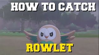 HOW TO CATCH ROWLET IN POKEMON SWORD AND SHIELD HOW TO GET ROWLET WHERE TO FIND ROWLET [upl. by Tenrag39]