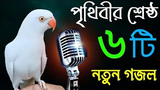 কলিজা কাঁপানো সেরা ৬ টি গজল  Top 6 Ta Gojol  Bangla New Gojol 2021  New Gojol 2021  Gojol  গজল [upl. by Amrac]