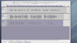 Setting Audio Recording Levels  Audacity [upl. by Riddle]