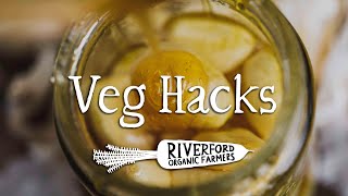 Fermented Garlic Honey I VEG HACKS [upl. by Hcirdeirf]