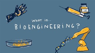 Girls in Engineering 2021 Bioengineering [upl. by Nodnek]