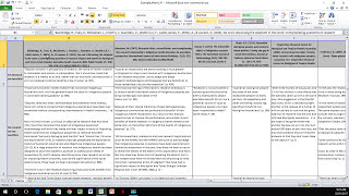 How to Create a Literature Matrix Excel [upl. by Skipper968]