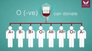 Blood Donation Guide [upl. by Arit]