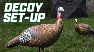 Turkey Hunting  DECOY SETUP  AvianX [upl. by Clary231]