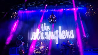 The stranglers something better change live halifax 2024 [upl. by Reffinej]