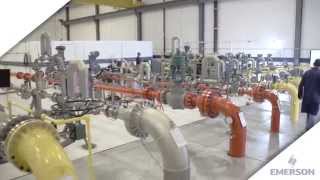 Emerson Regulator and Relief Valve Lab Overview [upl. by Eimmot]