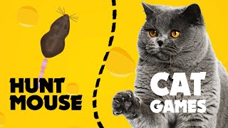 CAT GAMES realistic MOUSE HUNT ★ video for cats with mice 1 hour ★ games FOR CATS [upl. by Piderit]