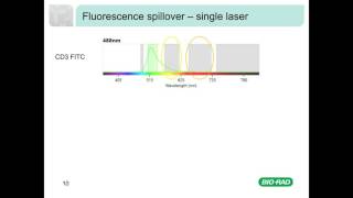 Fluorescence and Compensation in Flow Cytometry [upl. by Ellecrad]