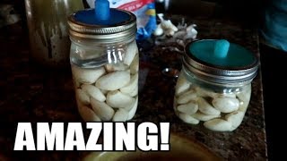 HOW TO FERMENT GARLIC AND WHY RAW FOODHEALTHY [upl. by Karolyn]