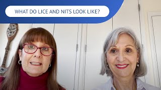 What Do Lice and Nits Look Like  LiceDoctors [upl. by Dnalor994]