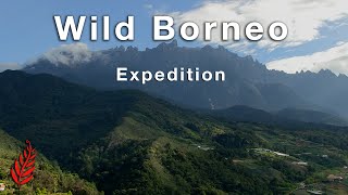 Wild Borneo Expedition [upl. by Collis]