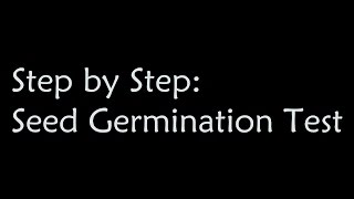 Step by Step Seed Germination testing [upl. by Hallam202]