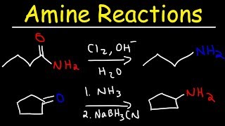 Amine Synthesis Reactions [upl. by Derrej678]