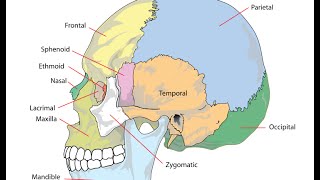 Craniosacral Therapy amp Autism Sophie amp Matthews Story [upl. by Fiedler514]